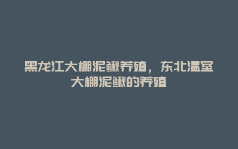 黑龙江大棚泥鳅养殖，东北温室大棚泥鳅的养殖