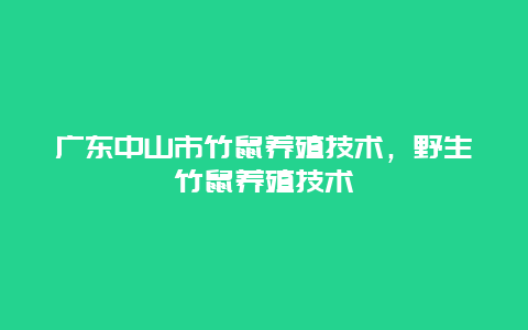 广东中山市竹鼠养殖技术，野生竹鼠养殖技术