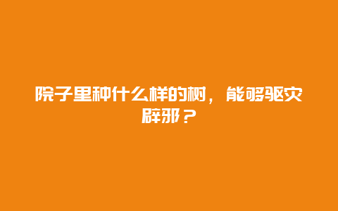 院子里种什么样的树，能够驱灾辟邪？