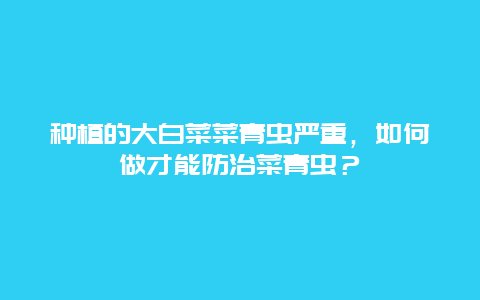 种植的大白菜菜青虫严重，如何做才能防治菜青虫？