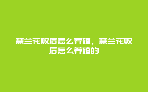 慧兰花败后怎么养殖，慧兰花败后怎么养殖的