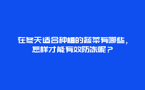 在冬天适合种植的蔬菜有哪些，怎样才能有效防冻呢？