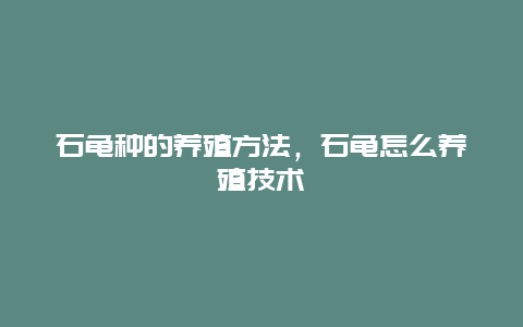 石龟种的养殖方法，石龟怎么养殖技术