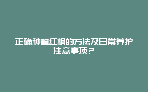 正确种植红枫的方法及日常养护注意事项？