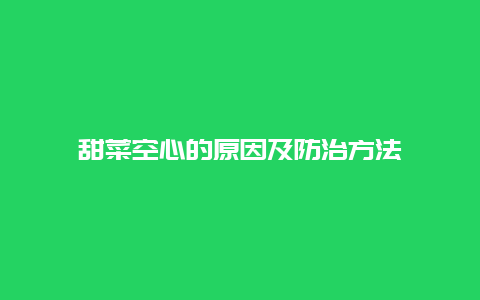 甜菜空心的原因及防治方法