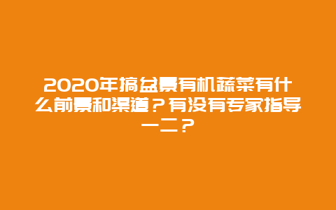 2020年搞盆景有机蔬菜有什么前景和渠道？有没有专家指导一二？