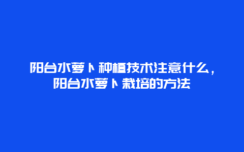 阳台水萝卜种植技术注意什么，阳台水萝卜栽培的方法