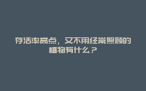 存活率高点，又不用经常照顾的植物有什么？