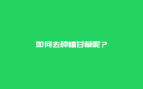 如何去种植甘草呢？