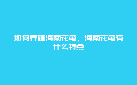 如何养殖海南花龟，海南花龟有什么特点