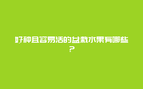 好种且容易活的盆栽水果有哪些？