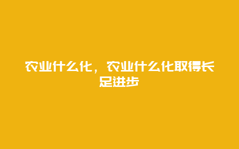 农业什么化，农业什么化取得长足进步