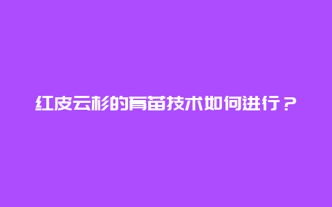 红皮云杉的育苗技术如何进行？