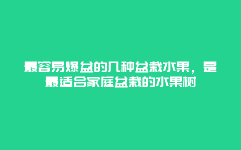 最容易爆盆的几种盆栽水果，是最适合家庭盆栽的水果树