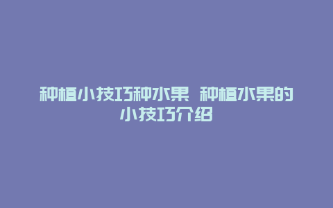 种植小技巧种水果 种植水果的小技巧介绍