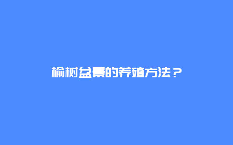 榆树盆景的养殖方法？