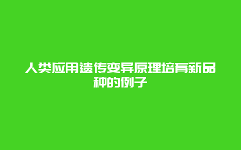 人类应用遗传变异原理培育新品种的例子