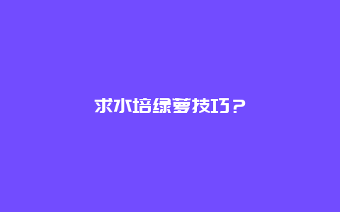 求水培绿萝技巧？