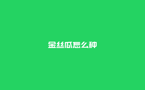 金丝瓜怎么种