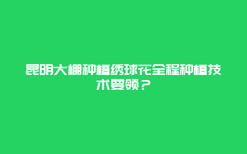 昆明大棚种植绣球花全程种植技术要领？