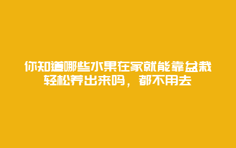 你知道哪些水果在家就能靠盆栽轻松养出来吗，都不用去