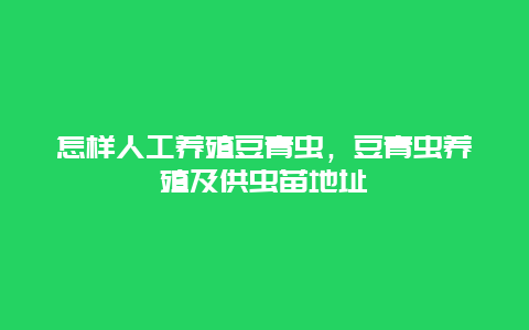 怎样人工养殖豆青虫，豆青虫养殖及供虫苗地址