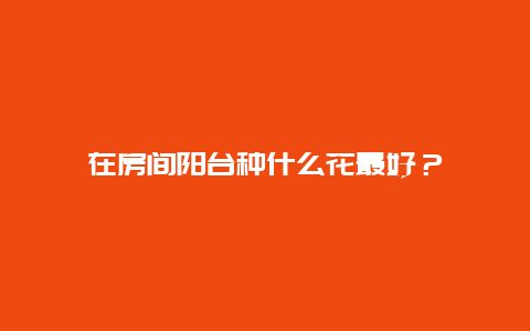 在房间阳台种什么花最好？