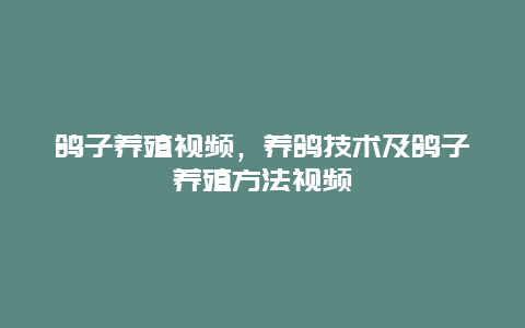 鸽子养殖视频，养鸽技术及鸽子养殖方法视频