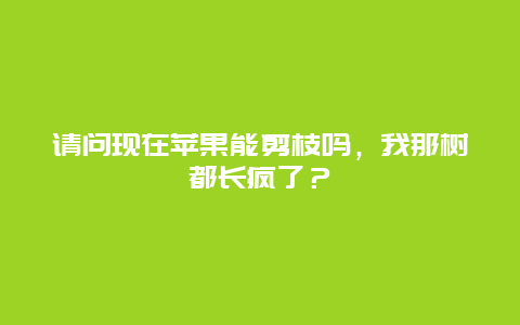 请问现在苹果能剪枝吗，我那树都长疯了？