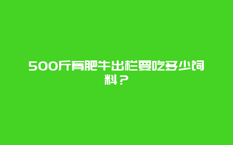 500斤育肥牛出栏要吃多少饲料？