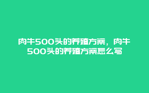 肉牛500头的养殖方案，肉牛500头的养殖方案怎么写