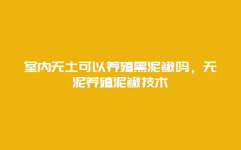 室内无土可以养殖黑泥鳅吗，无泥养殖泥鳅技术