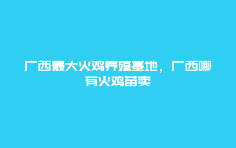 广西最大火鸡养殖基地，广西哪有火鸡苗卖