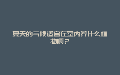 夏天的气候适宜在室内养什么植物啊？