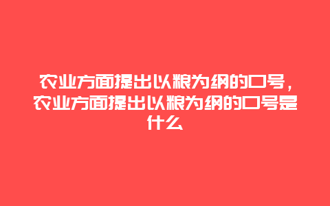 农业方面提出以粮为纲的口号，农业方面提出以粮为纲的口号是什么