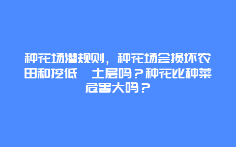 种花场潜规则，种花场会损坏农田和挖低坭土层吗？种花比种菜危害大吗？