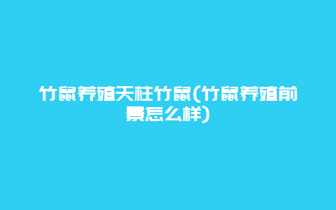 竹鼠养殖天柱竹鼠(竹鼠养殖前景怎么样)