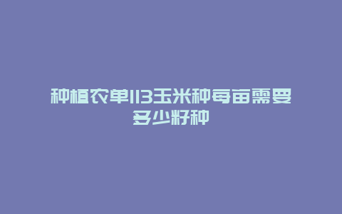 种植农单113玉米种每亩需要多少籽种