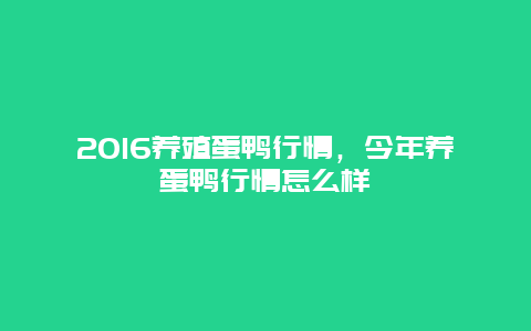 2016养殖蛋鸭行情，今年养蛋鸭行情怎么样