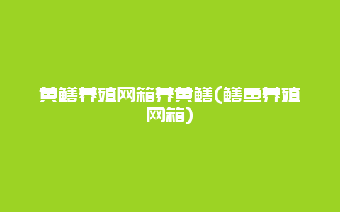 黄鳝养殖网箱养黄鳝(鳝鱼养殖网箱)