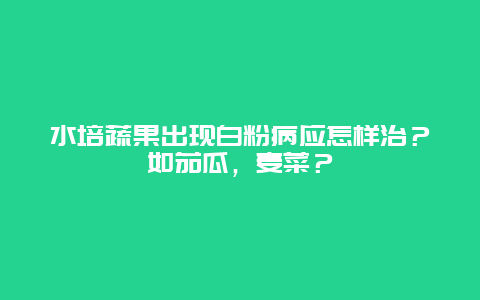 水培蔬果出现白粉病应怎样治？如茄瓜，麦菜？