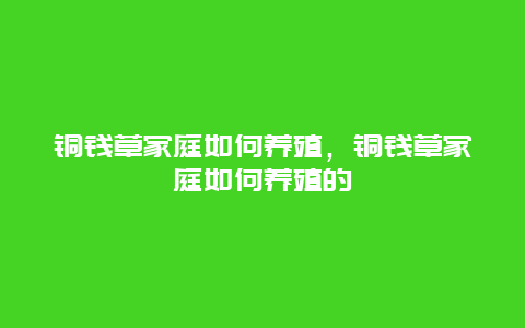 铜钱草家庭如何养殖，铜钱草家庭如何养殖的