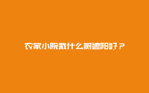 农家小院栽什么树遮阳好？