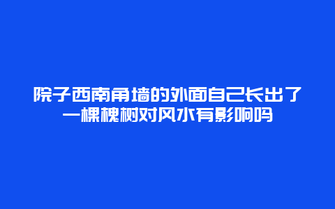 院子西南角墙的外面自己长出了一棵槐树对风水有影响吗