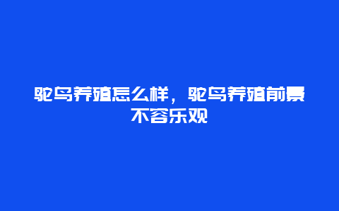 鸵鸟养殖怎么样，鸵鸟养殖前景不容乐观