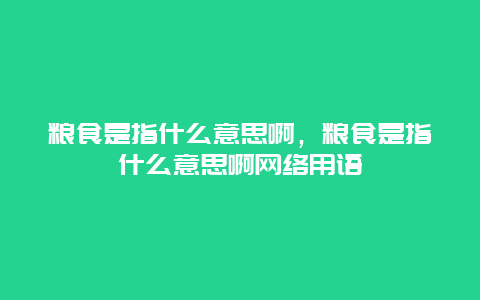 粮食是指什么意思啊，粮食是指什么意思啊网络用语