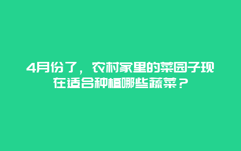 4月份了，农村家里的菜园子现在适合种植哪些蔬菜？