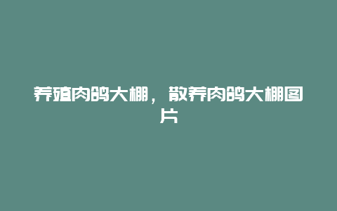 养殖肉鸽大棚，散养肉鸽大棚图片