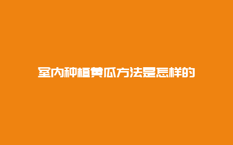 室内种植黄瓜方法是怎样的