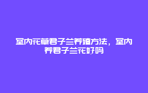 室内花草君子兰养殖方法，室内养君子兰花好吗